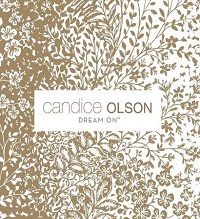 Dream On By Candice Olson