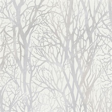 Yasuo Cream Birch Tree Branch Textured Wallpaper