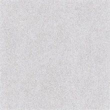 Fur Like Textured Silky Grey