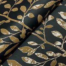 Sagecrest Black Sapling Wallpaper