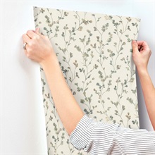 Romy Forest Springtime Trail Wallpaper