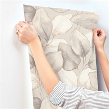 Evanthe Grey Vine Wallpaper