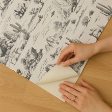 Area 51 Novelty Toile Grey Peel and Stick Wallpaper