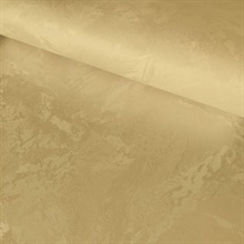 CI38244