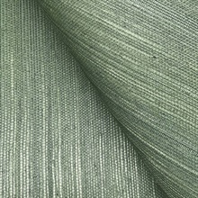 GV0146NW
