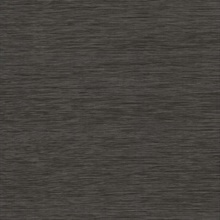 GV0221