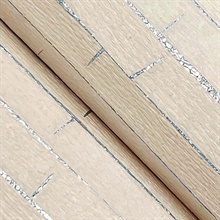 GV0252