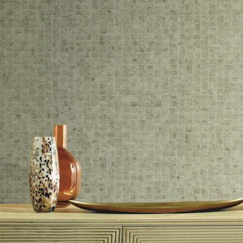 HO2118 Wallpaper | Beige Leather Lux High Gloss Textured Wallpaper