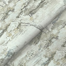 Moreno Slate Woodland Wallpaper