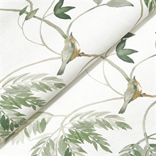 Cillian Dark Green Botanical Bird Trail Wallpaper