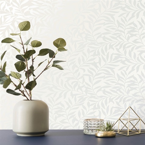 M1666 | Salix Silver Leaf Wallpaper M1666 | Salix Silver Leaf Wallpaper