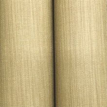 MI10593
