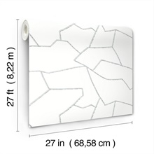 MT5621