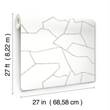MT5624