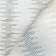MT5641