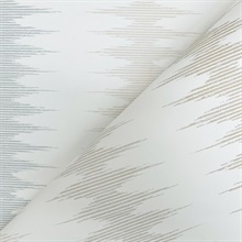 MT5642
