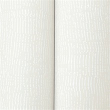 MT5662