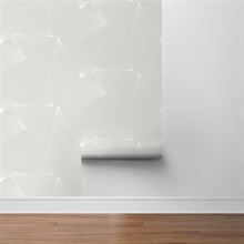 NW41308