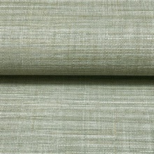 SI25874