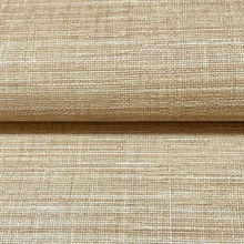 SI25876