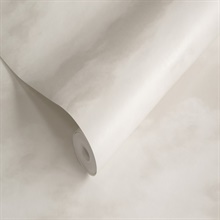 SS21249