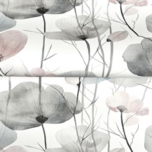 Cotswolds Poppies Grey Floral Wallpaper