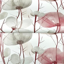 Cotswolds Poppies Red Floral Wallpaper