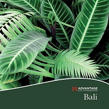 Advantage Bali
