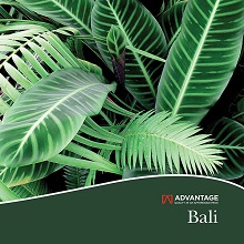 Advantage Bali