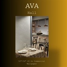Ava Hall Contract