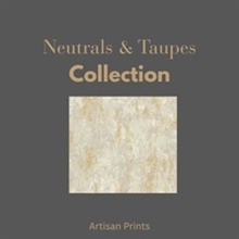 Neutrals & Taupes
