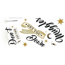 Harry Potter Muggles Wall Quote Wall Decals