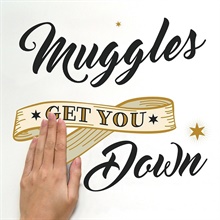 Harry Potter Muggles Wall Quote Wall Decals