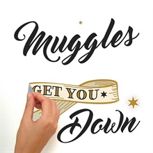 Harry Potter Muggles Wall Quote Wall Decals