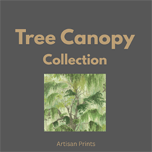 Tree Canopy