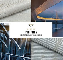 Warner Infinity