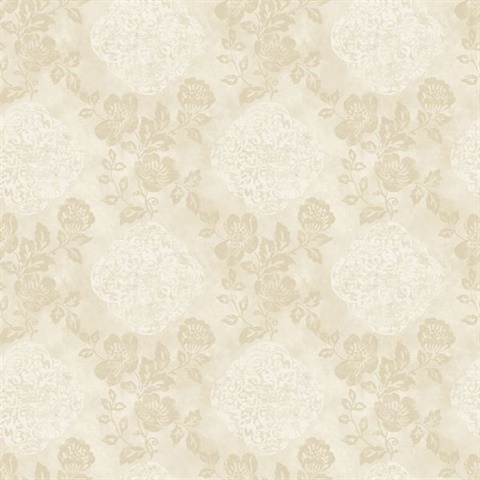 Cream Evan