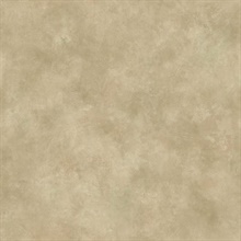 Neutrals Evan Texture