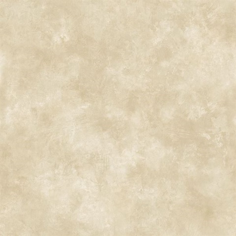 Taupe Evan Texture