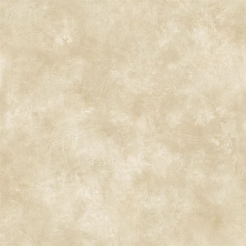 Taupe Evan Texture