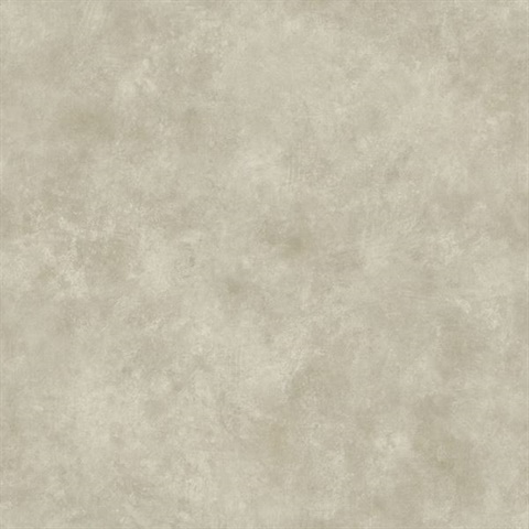 Grey Evan Texture