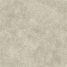 Grey Evan Texture