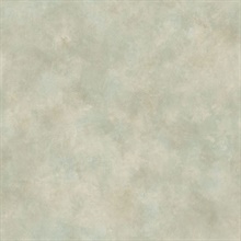 Beige Evan Texture