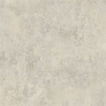 Neutral Danby Marble