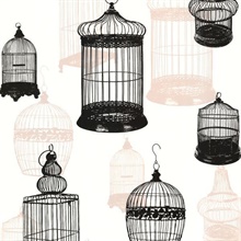 Avian Black Bird Cages