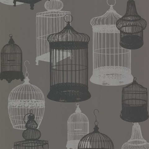 Avian Charcoal Bird Cages
