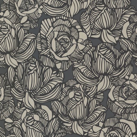 Calista Black Modern Rose