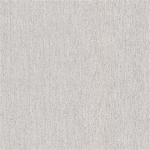 Aidan Silver Texture
