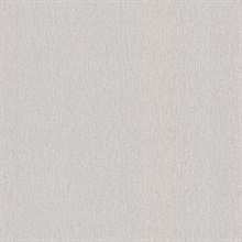 Aidan Silver Texture
