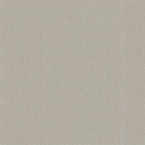 Aidan Taupe Texture